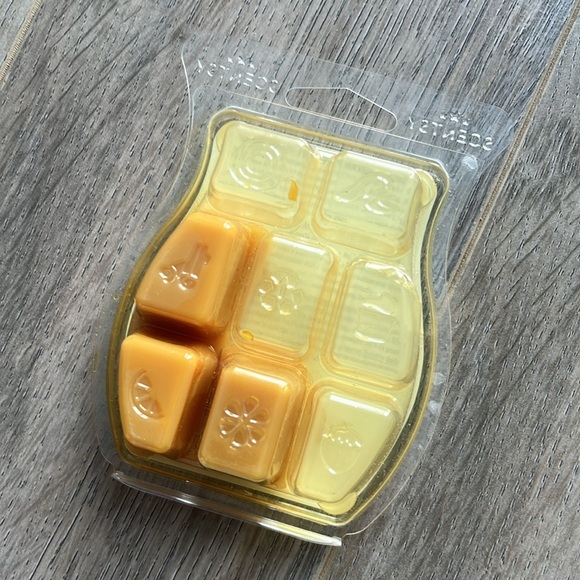 SCENTSY WAX BAR BUNDLE (5) - Picture 6 of 12
